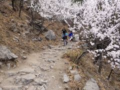 -北京鹫峰国家森林公园