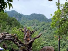 -龙湾潭国家森林公园