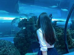 -乐从天佑城海洋馆