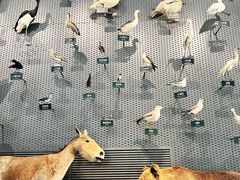 -中国湿地博物馆