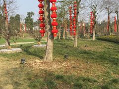-秀丽东方
