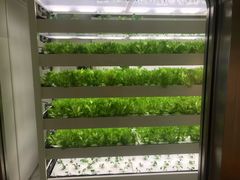 -伊东屋(本店)