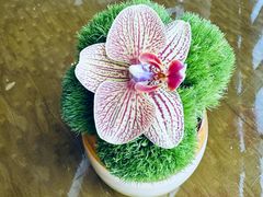 -大连君悦酒店·星海湾壹号Dalian·Dalian(星海广场店)