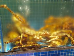 -庆赫隆融合菜馆(群力店)
