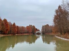 -上海海湾国家森林公园