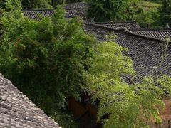 -杨家堂村
