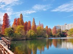 -井之头恩赐公园