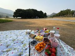 -风云岭森林公园