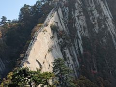 -华山风景名胜区-苍龙岭