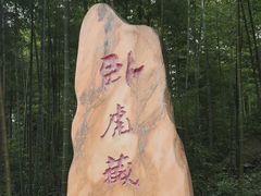 -蜀南竹海景区