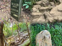 -梧桐山风景名胜区