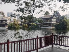 -荔湾湖公园