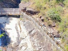 -广州白江湖森林公园