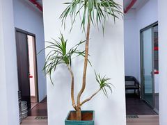 -沃合农家小馆(半壁街店)