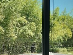 -西安凯悦酒店·湖畔中餐厅
