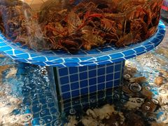 -五月罗马海鲜烤肉自助餐厅(印象城店)