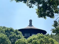 -八大山人梅湖景区