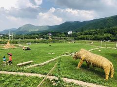 -莫干山风景区