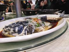 清蒸西海胖头鱼-雅和生态渔庄·宜城锅巴饭(龙灵山公园店)