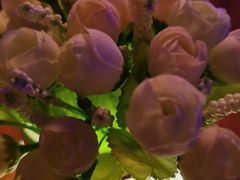 -阿卡贝拉音乐汇(印象城店)