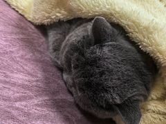 -动物缘宠物医院·骨科·猫科(西二环店)