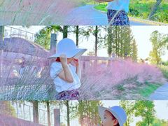 -前小桔亲子创意农场·草莓采摘·露营烧烤