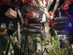 -zoonana室内动物园(东方福来德店)