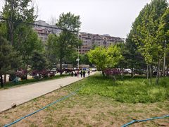 -乐行自行车运动乐园