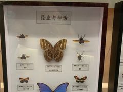 -汕头市博物馆