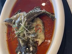 -高老庄新家宴(北斗星广场店)