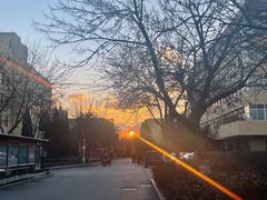 -二红烧烤排骨串(麦岛店)