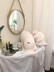 -VE专注问题肌·赛诺龙&科学美肤中心