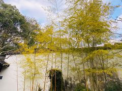 -上海醉白池公园