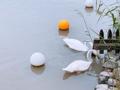 -上海野生动物园
