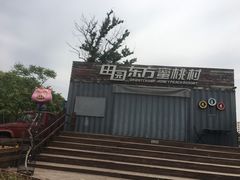 -田园东方蜜桃村的田野营地
