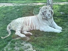 -北京野生动物园