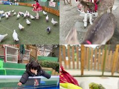 -成都欢乐谷