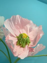 -斐尔国际皮肤管理中心