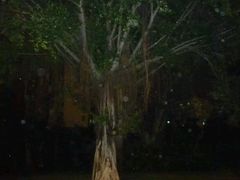 -海口骑楼小吃街