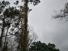 -福清灵石山国家森林公园