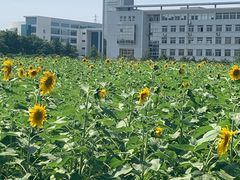 -南京信息职业技术学院