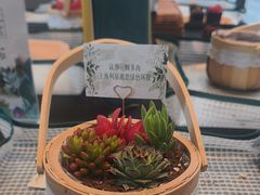 -奔驰上海利星(七宝店)