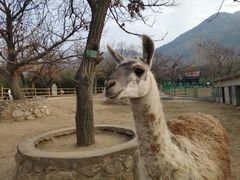 -西安秦岭野生动物园