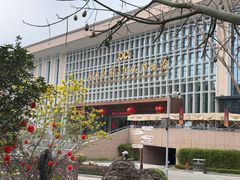 -广西壮族自治区博物馆