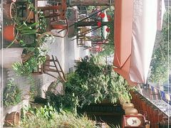 -泡桐树孙二娘私房菜