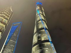-上海柏悦酒店