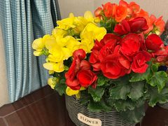 -金陵花卉交易市场
