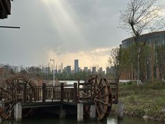 -洋湖国家湿地公园
