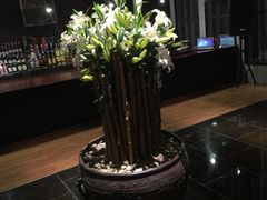 -梧桐餐厅(泉城路店)