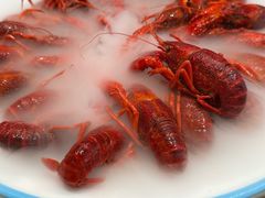 -杨氏青龙虾·羊蝎子(珠江路店)